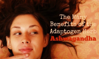 5 Major Benefits of the Indian Adaptogen Ashwagandha (#2 is best)